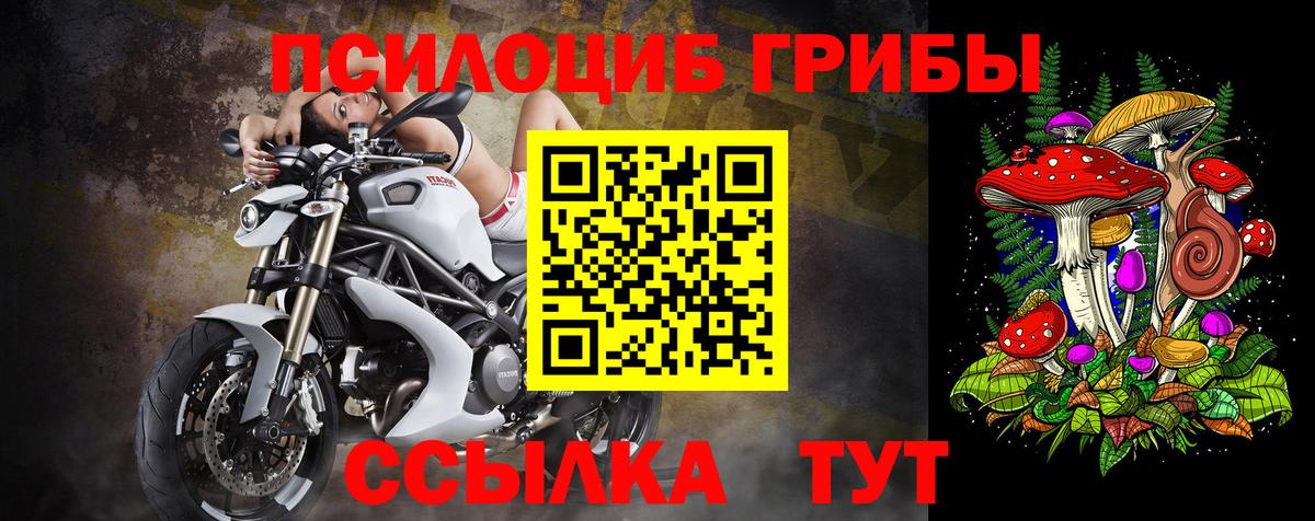 Псилоцибиновые грибы ЛСД Саянск